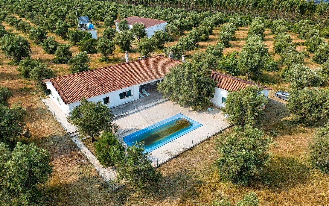 Finca in Almoster, Santarem District, Portugal 2 - 15996130