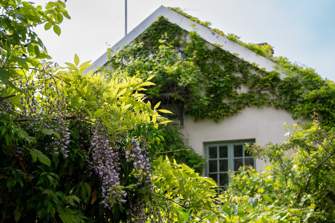 House in Visby, Gotland County, Sweden 3 - 15996780
