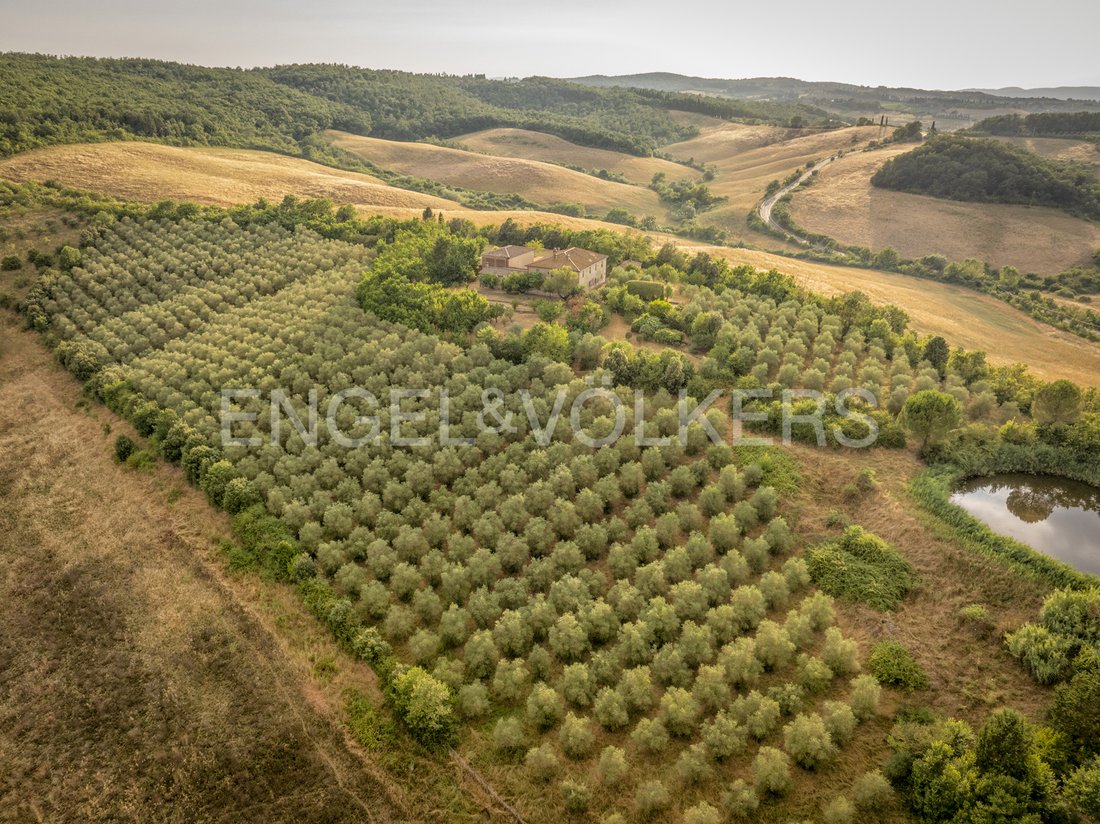 Country House in Monteroni d'Arbia, Tuscany, Italy 4 - 15997131
