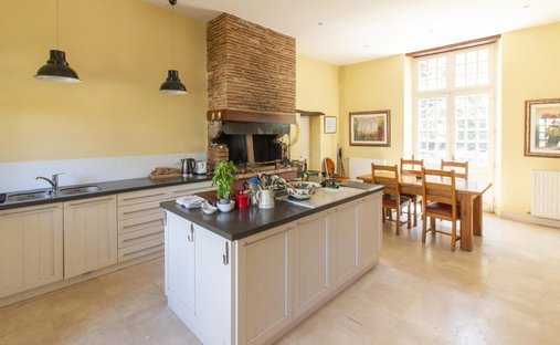 5 Min From Sainte Foy La Grande: Historic Castle Of 600m², Its Vineyard Of 85ha, Gîtes, Stable And 3