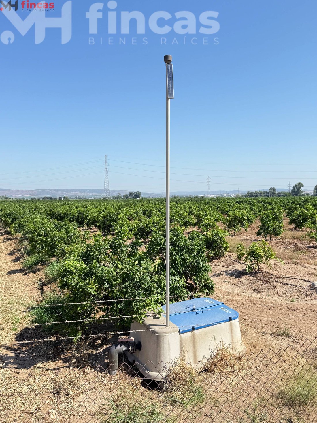 Land in Cantillana, Andalusia, Spain 2 - 15884089