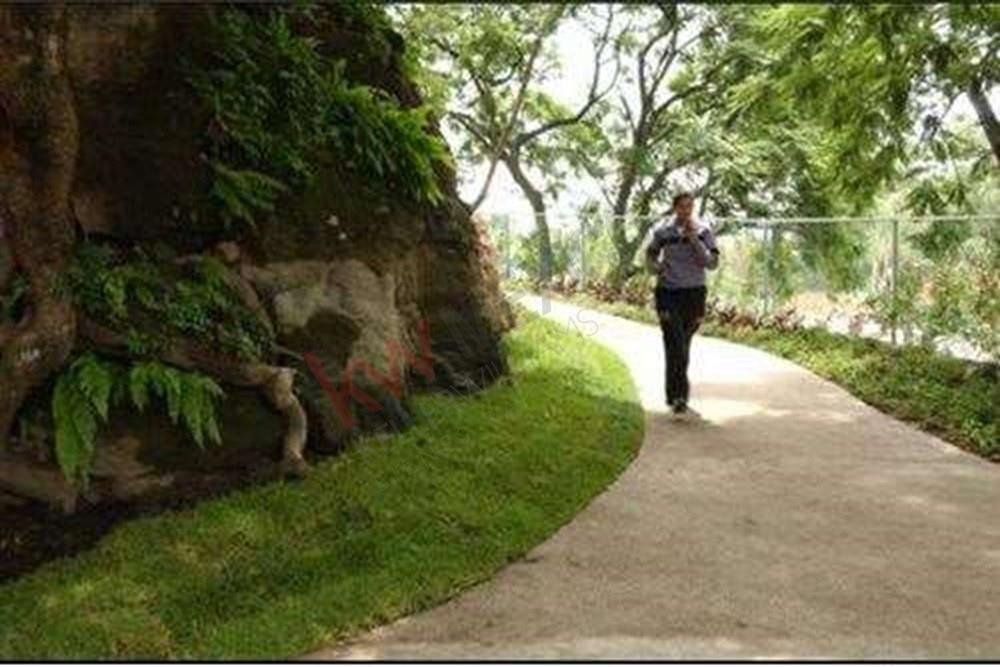 Land in Cuernavaca, Morelos, Mexico 5 - 16000309