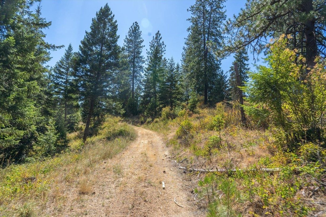 Terreno a Spokane Valley, Washington, Stati Uniti 4 - 16000657