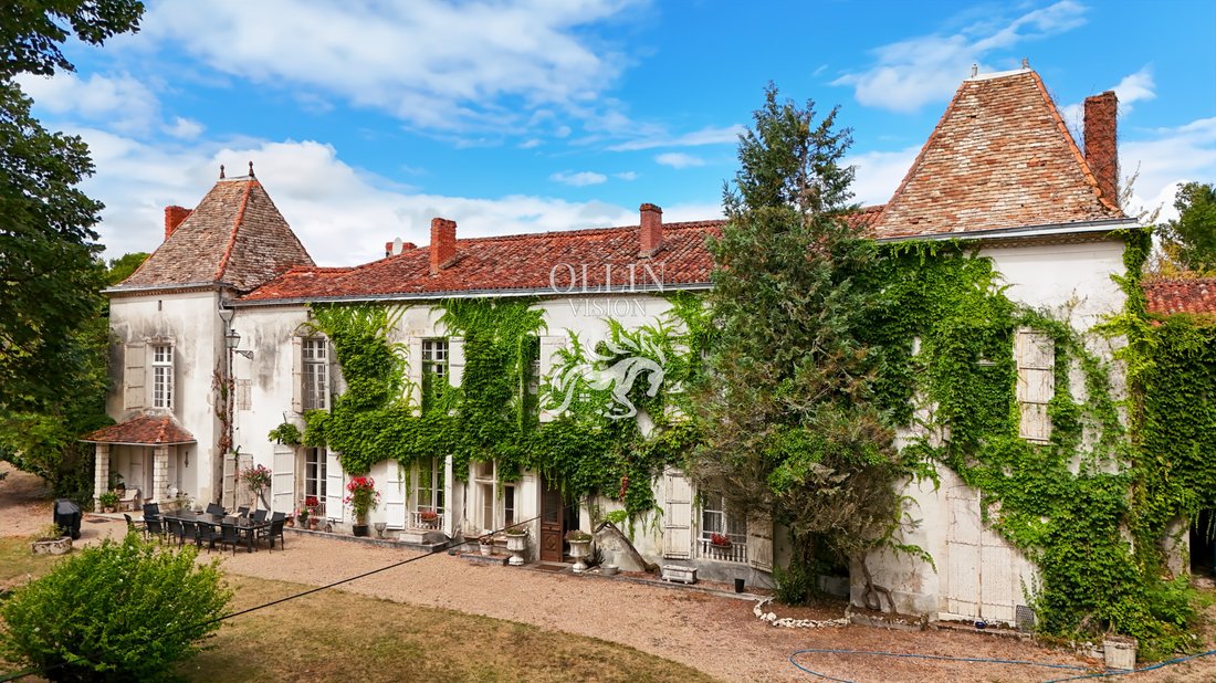 Castle in Ribérac, Nouvelle-Aquitaine, France 1 - 15998748