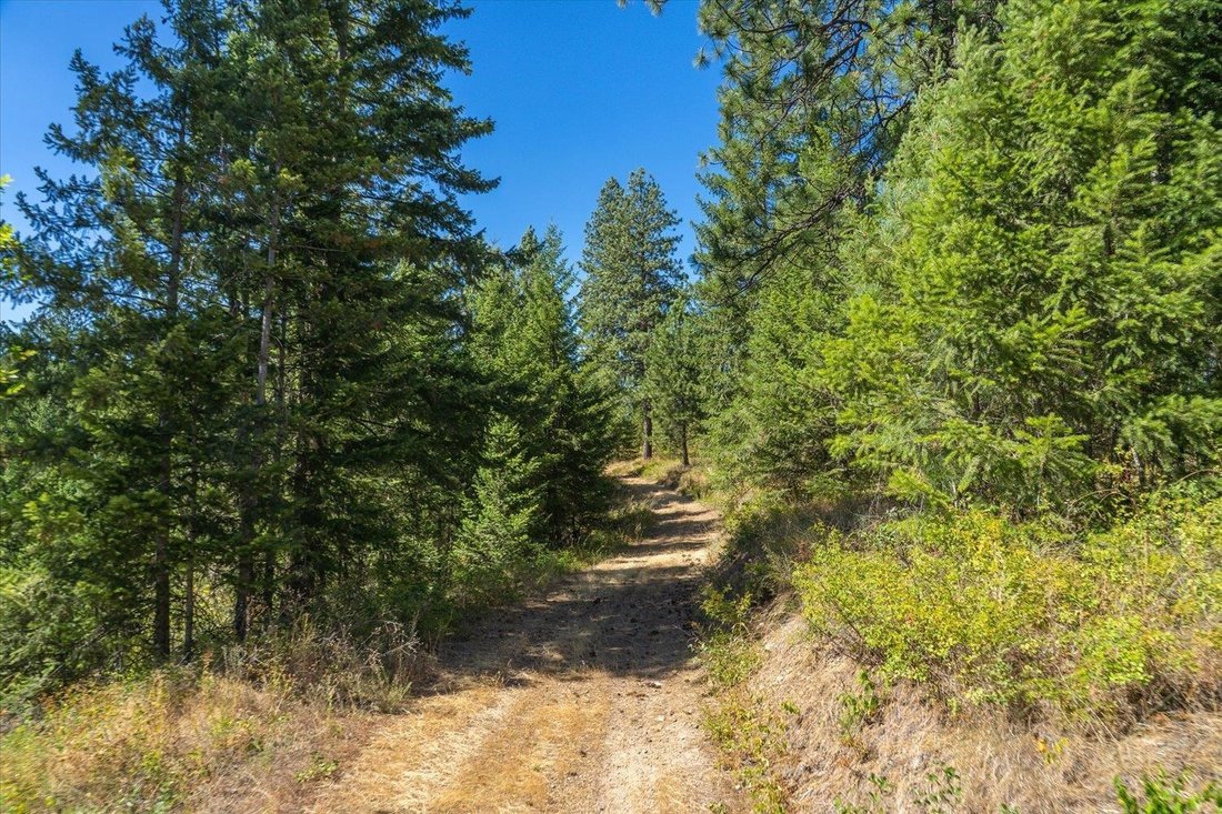 Terreno a Spokane Valley, Washington, Stati Uniti 5 - 16000657