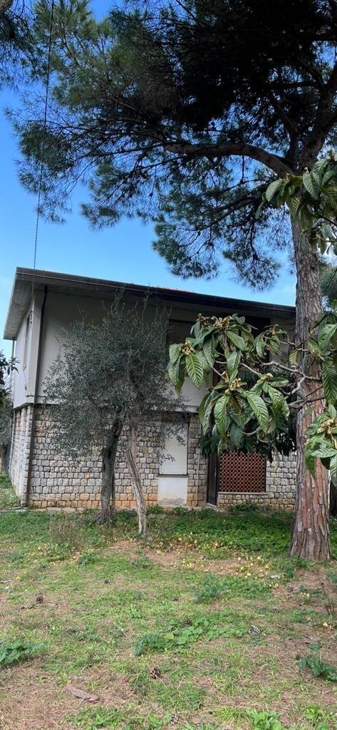 Villa in Palmaria Island, Liguria, Italy 4 - 15998790