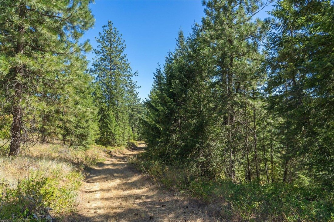 Terreno a Spokane Valley, Washington, Stati Uniti 1 - 16000657