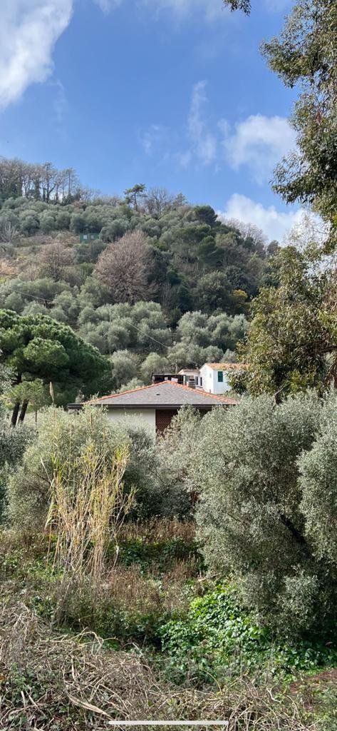 Villa in Palmaria Island, Liguria, Italy 5 - 15998790