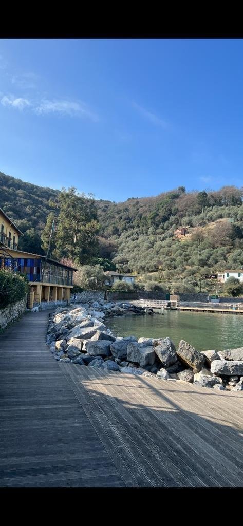 Villa in Palmaria Island, Liguria, Italy 3 - 15998790