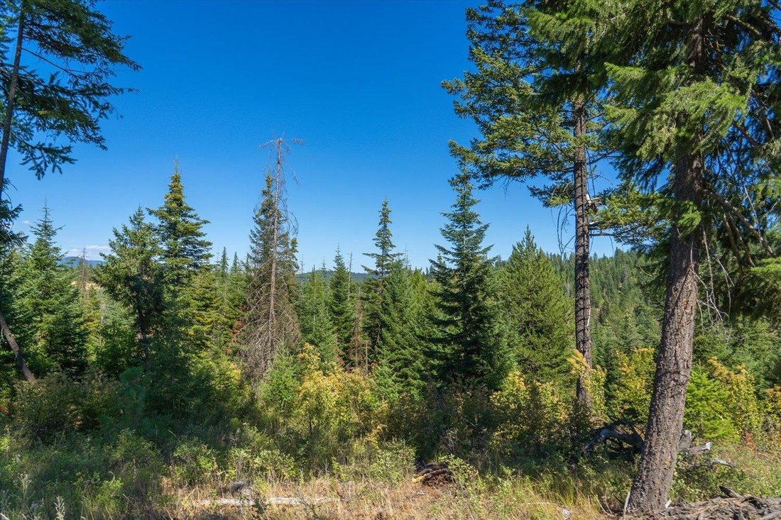Terreno a Spokane Valley, Washington, Stati Uniti 2 - 16000657