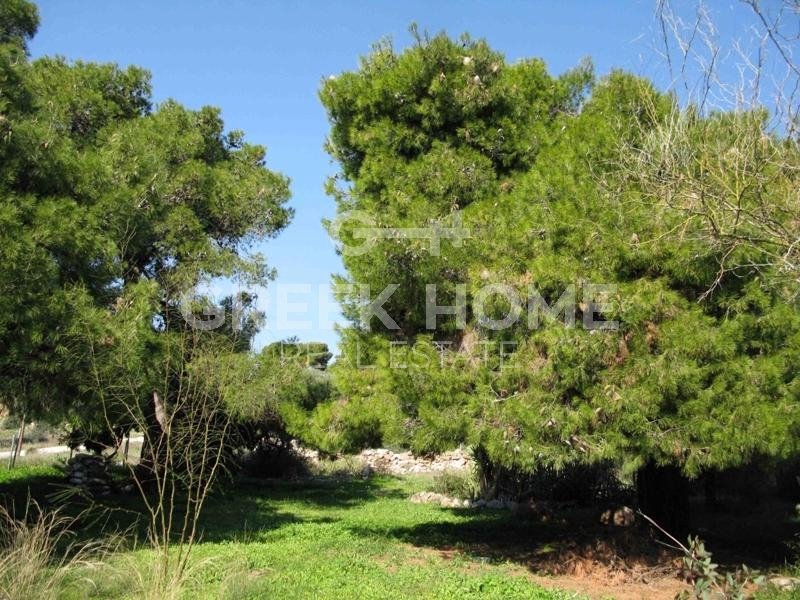 House in Vari, Attica, Greece 2 - 15998857