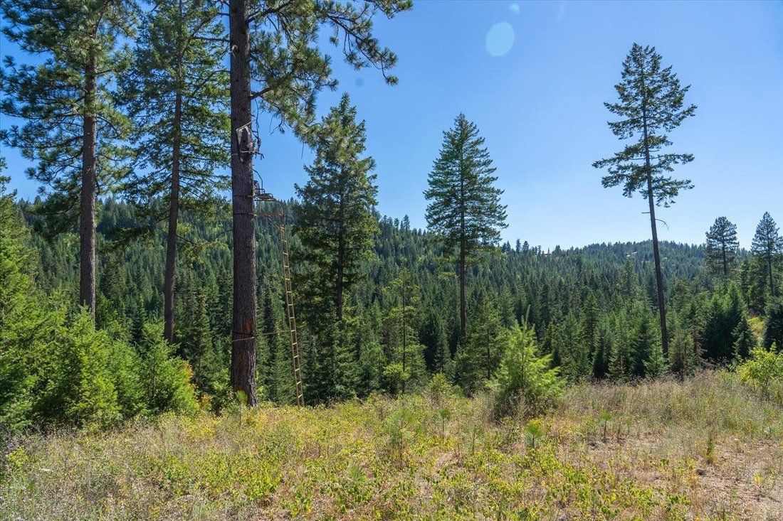 Terreno a Spokane Valley, Washington, Stati Uniti 3 - 16000657