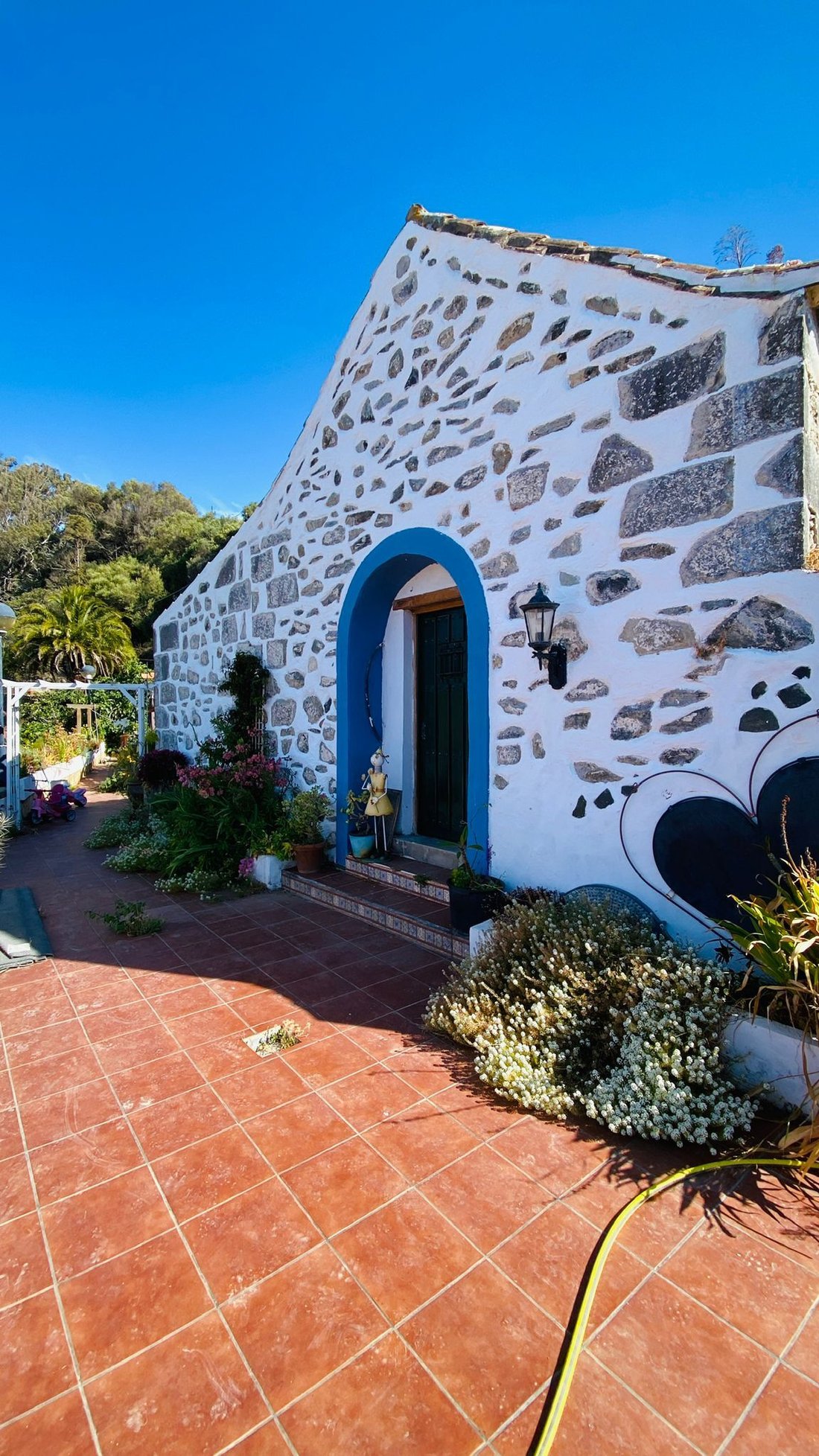Finca in Santa Lucia de Tirajana, Canary Islands, Spain 4 - 15998430