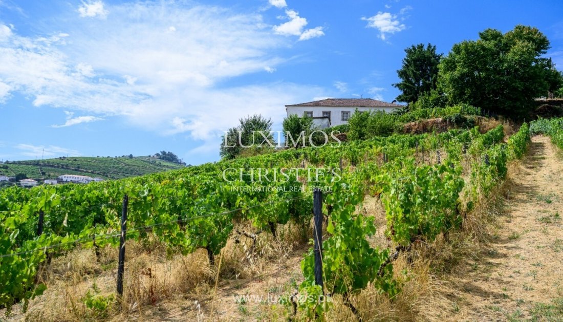 Farm Ranch in Lobrigos (Sao Miguel e Sao Joao Baptista) e Sanhoane, Vila Real District, Portugal 1 - 16003012