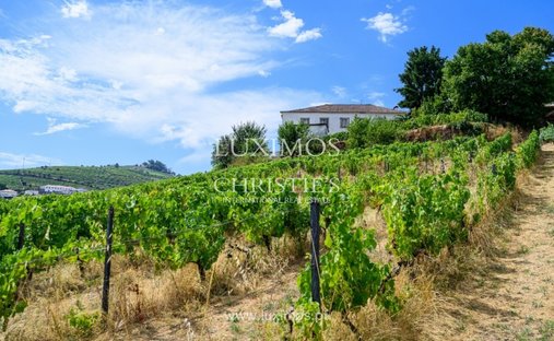 Farm Ranch in Lobrigos (Sao Miguel e Sao Joao Baptista) e Sanhoane, Vila Real District, Portugal 1