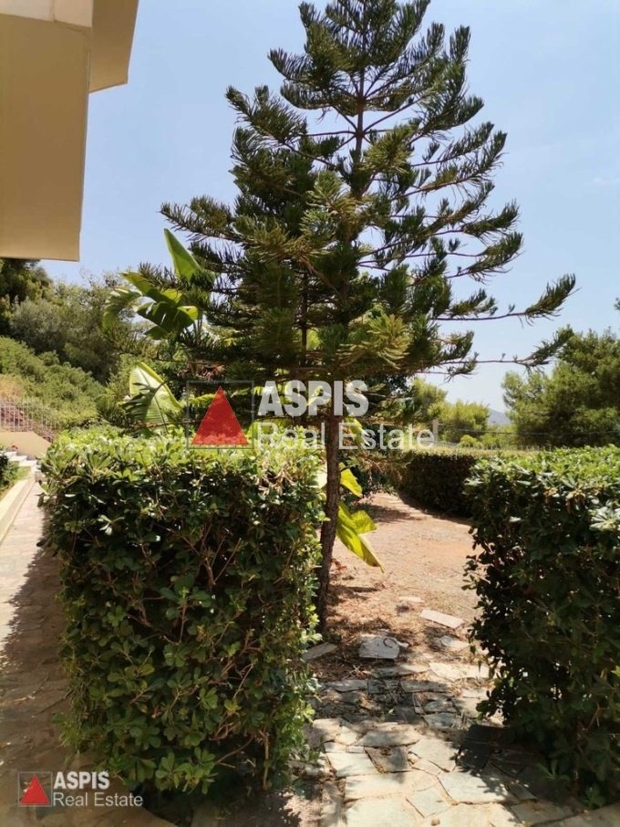 House in Kropia, Attica, Greece 4 - 16003918