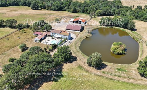 Castle for Sale in Challans, Pays de la Loire, France