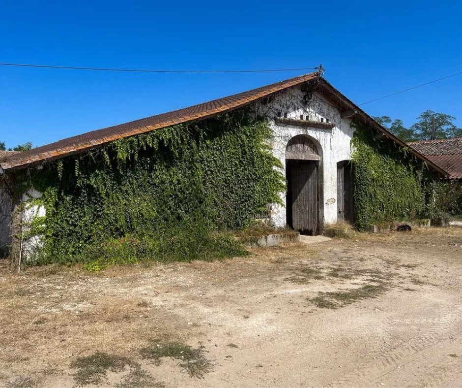 Estate in Menesplet, Nouvelle-Aquitaine, France 4 - 16002596