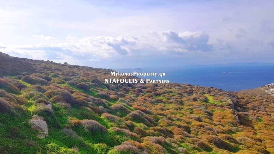 Mykonos, Aegean, Greece 5 - 16008425