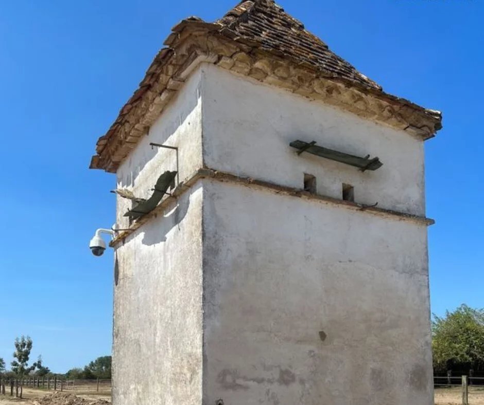 Estate in Menesplet, Nouvelle-Aquitaine, France 5 - 16002596