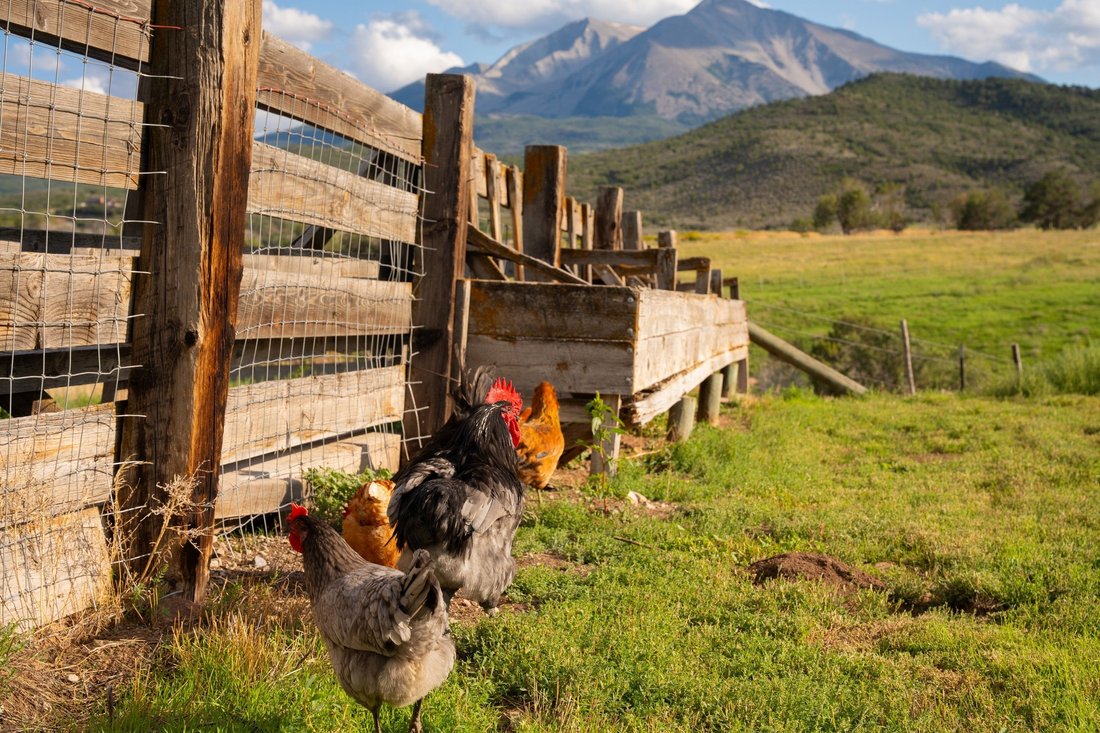 Farm Ranch in Carbondale, Colorado, United States 3 - 16006433