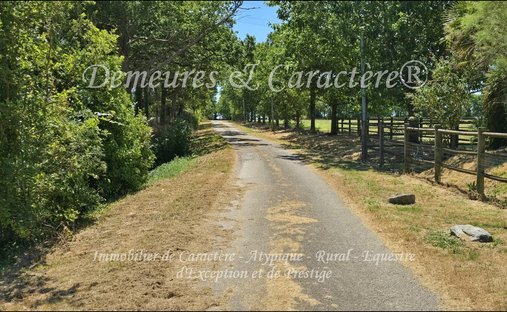 Castle for Sale in Challans, Pays de la Loire, France