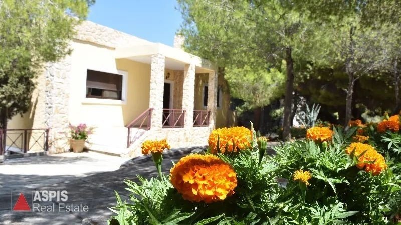 House in Lavreotiki Community, Attica, Greece 3 - 16003816