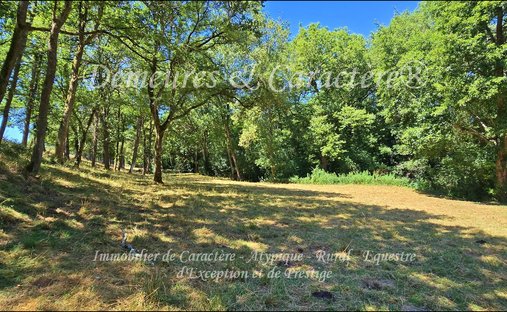 Castle for Sale in Challans, Pays de la Loire, France