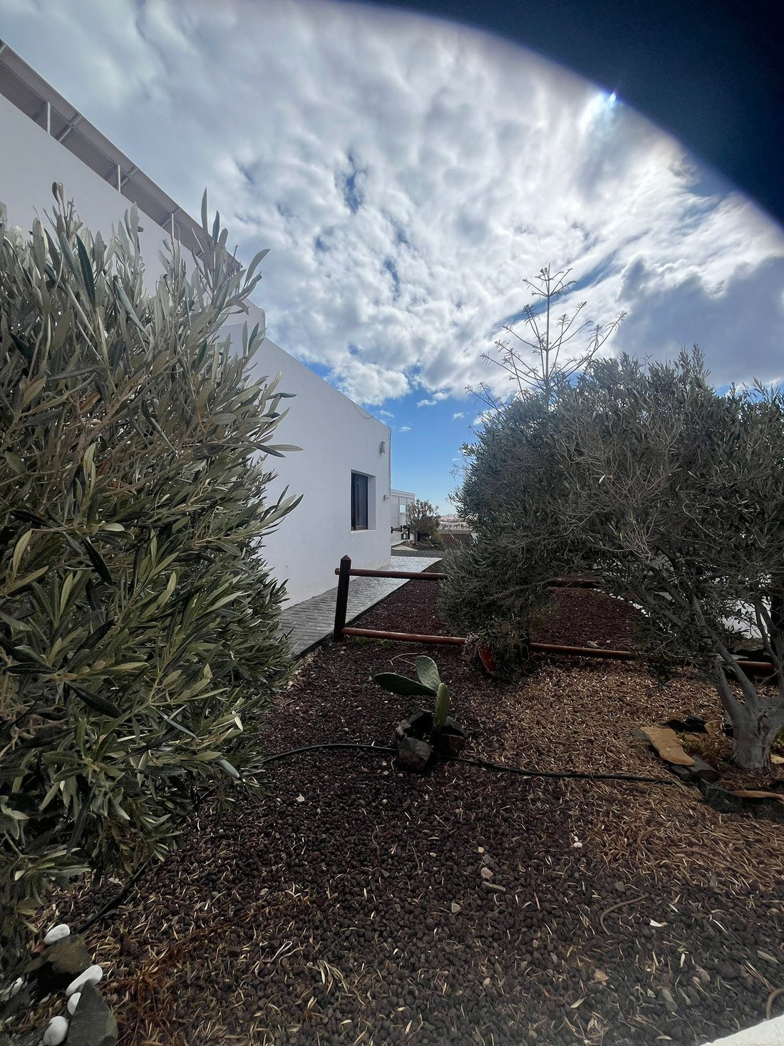 Villa in Tuineje, Canary Islands, Spain 3 - 16005009