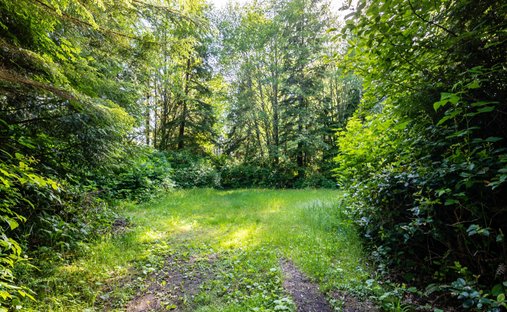 Land in Tofino, British Columbia, Canada 1