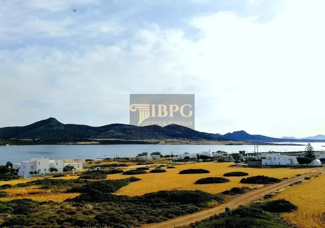 Antiparos, Aegean, Greece 3 - 16011198