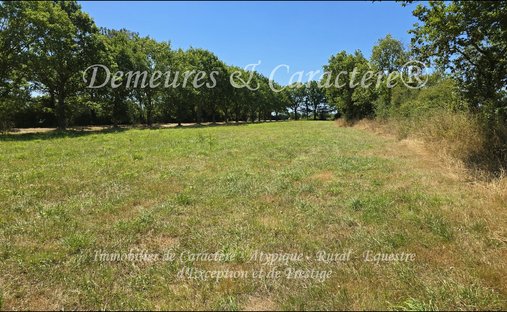 Castle for Sale in Challans, Pays de la Loire, France