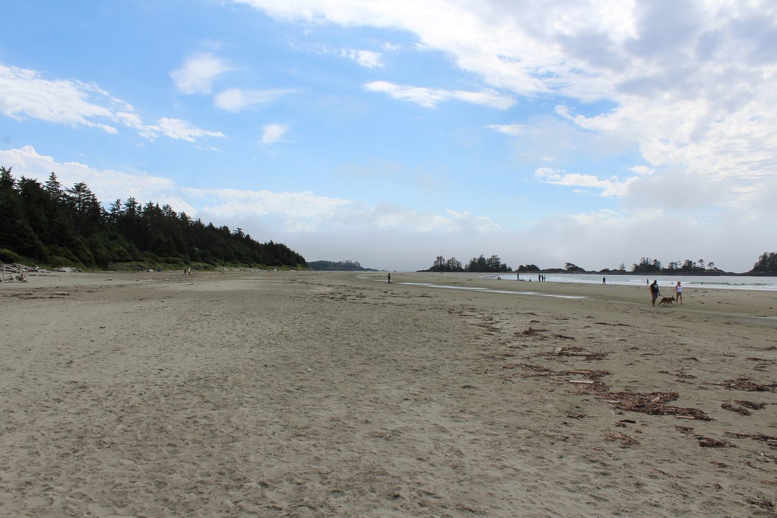 Land in Tofino, British Columbia, Canada 4 - 16008146