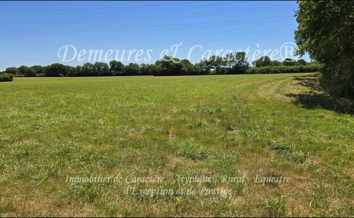 Castle for Sale in Challans, Pays de la Loire, France