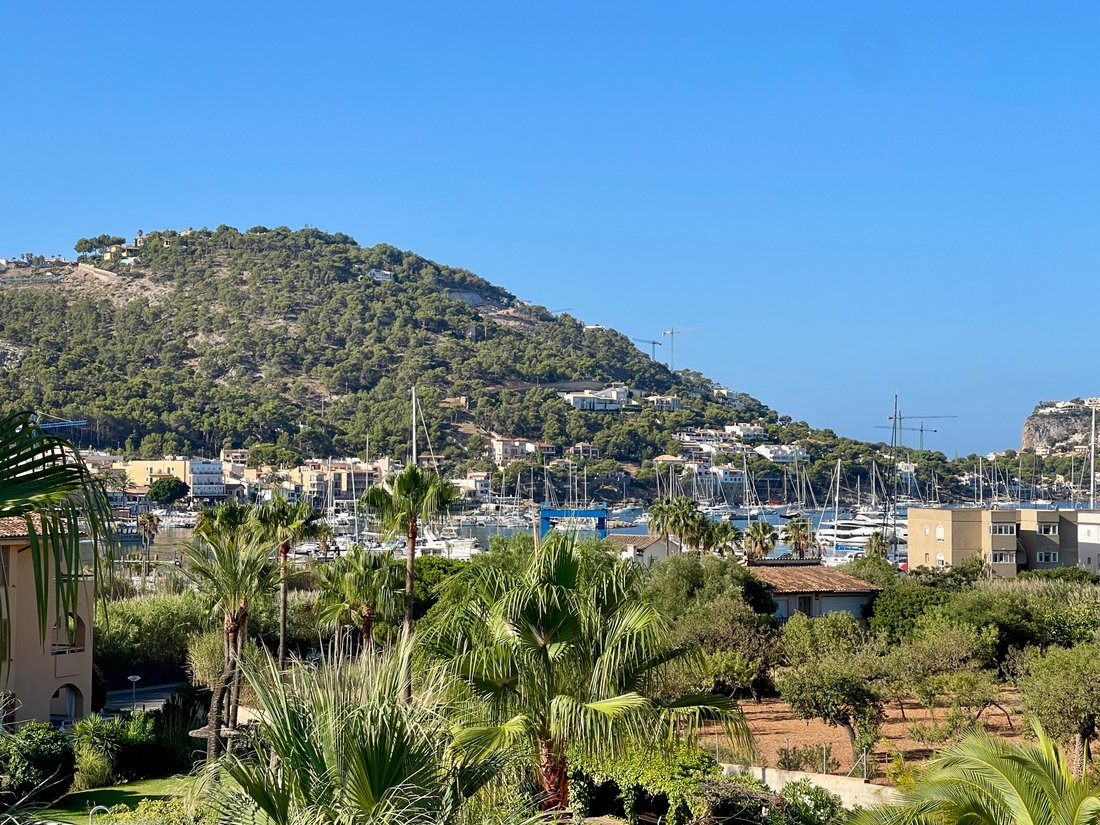 Apartment in Port d'Andratx, Andratx, Balearic Islands 1 - 16003063