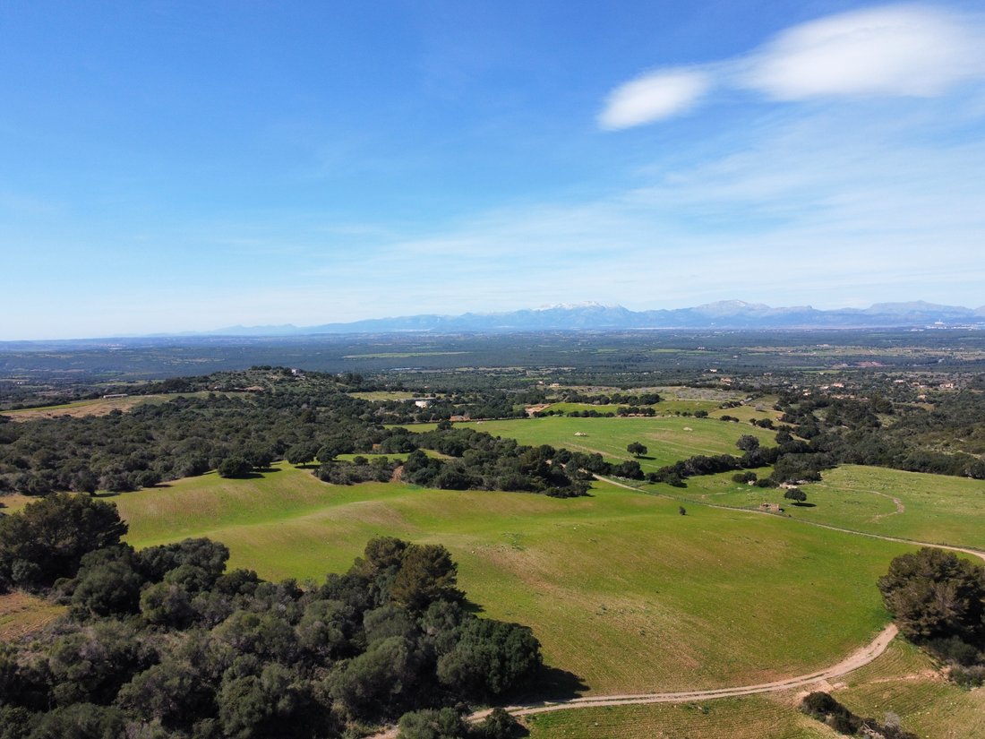Finca in Sant Llorenc des Cardassar, Balearic Islands, Spain 3 - 16008173