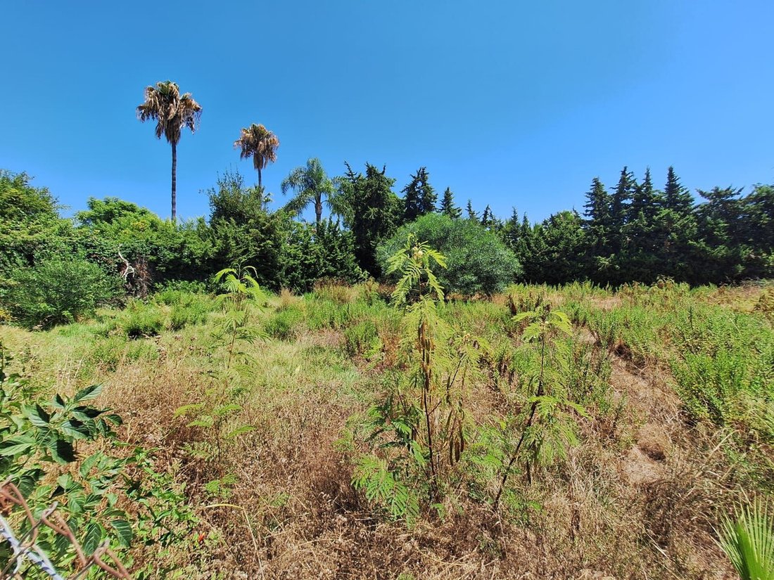 Land in La Zagaleta, Benahavis, Andalusia 4 - 15976571