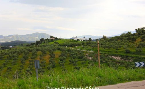 Farm Ranch in Olvera, Andalusien, Spanien 1
