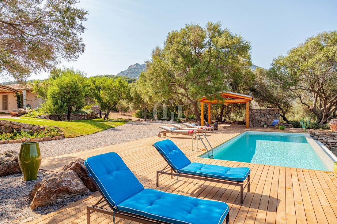 Villa in Area Arzachena Paese, Arzachena, Sardinia 2 - 14127487
