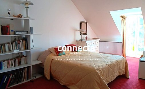 St Georges Sur Cher Authentic Manor On A Park With Enclosure Walls