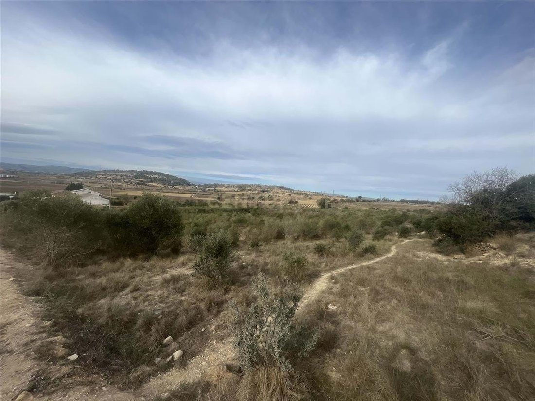Land in Vilafranca del Penedes, Catalonia, Spain 4 - 14919294
