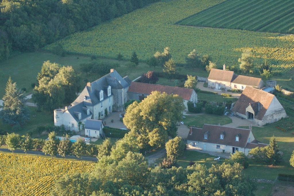 Castle in Cathédrale, Tours, France 1 - 16013600
