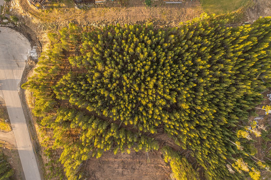 Land in Gallatin Gateway, Montana, United States 3 - 16016070