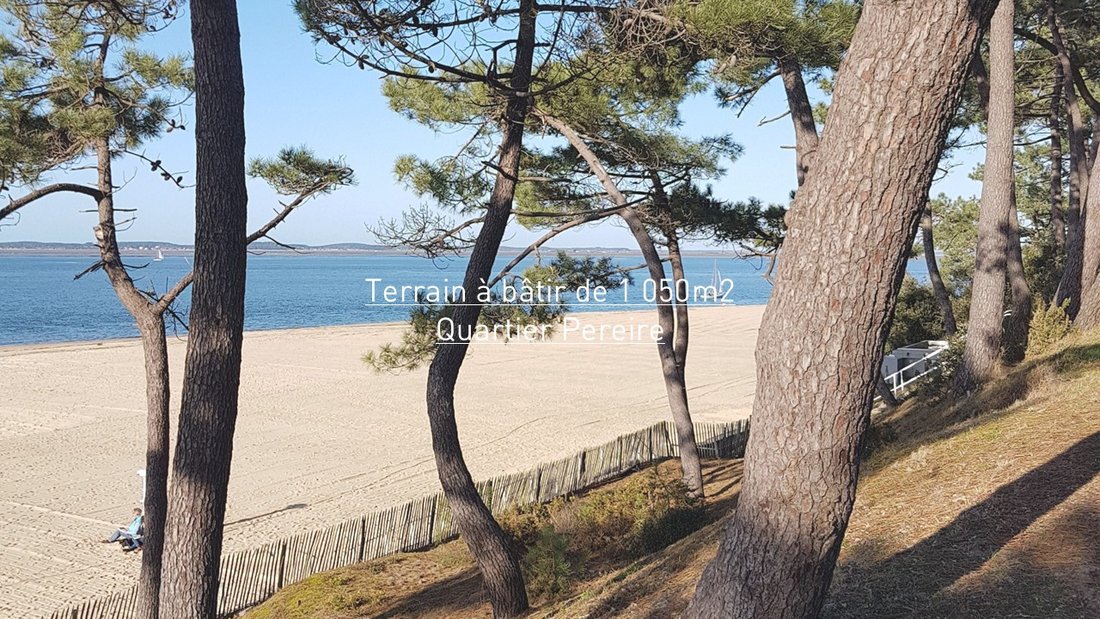 Land in Aiguillon, Arcachon, France 2 - 16013307