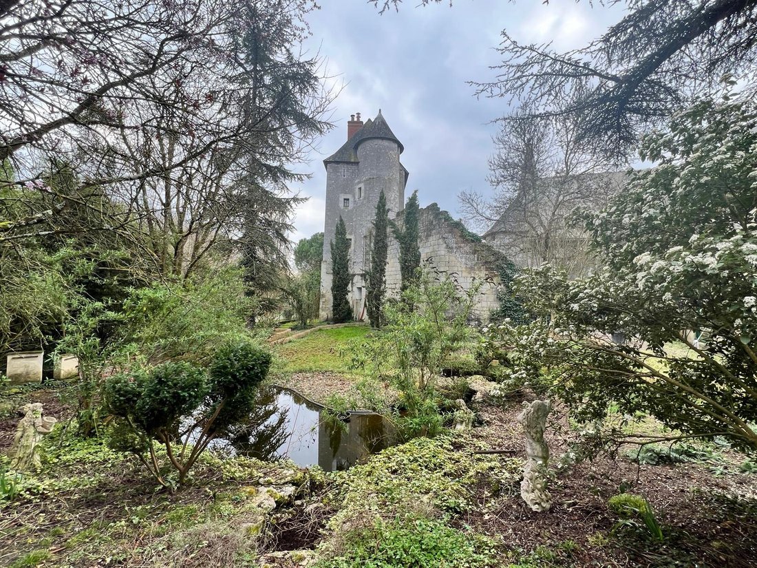 A 12th-Century Dream: Where History Whispers in the Loire’s Embrace