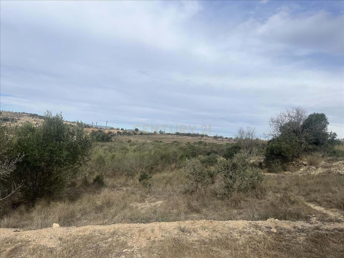Land in Vilafranca del Penedes, Catalonia, Spain 3 - 14919294