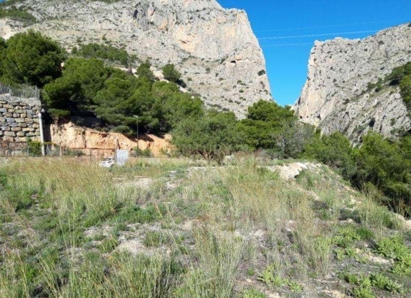 Land in Zona de Mascarat, Valencian Community, Spain 5 - 15019841