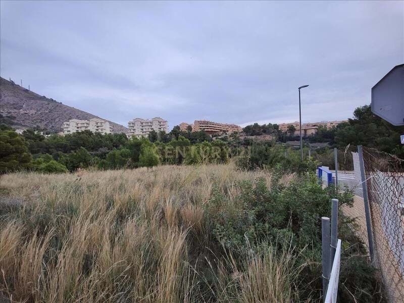 Land in Zona de Mascarat, Valencian Community, Spain 3 - 15019841