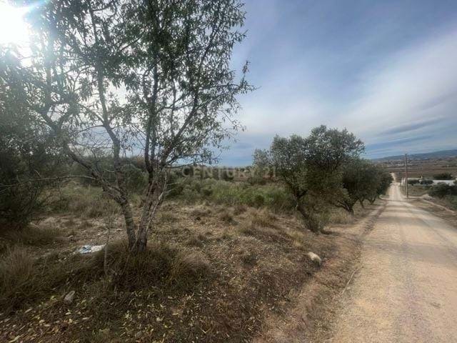 Land in Vilafranca del Penedes, Catalonia, Spain 1 - 14919294