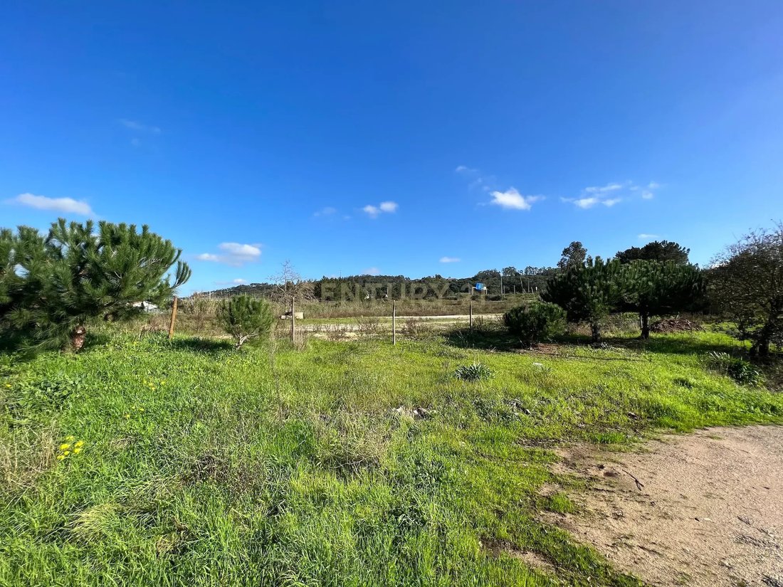 Land in Tornada e Salir do Porto, Leiria District, Portugal 1 - 13444480